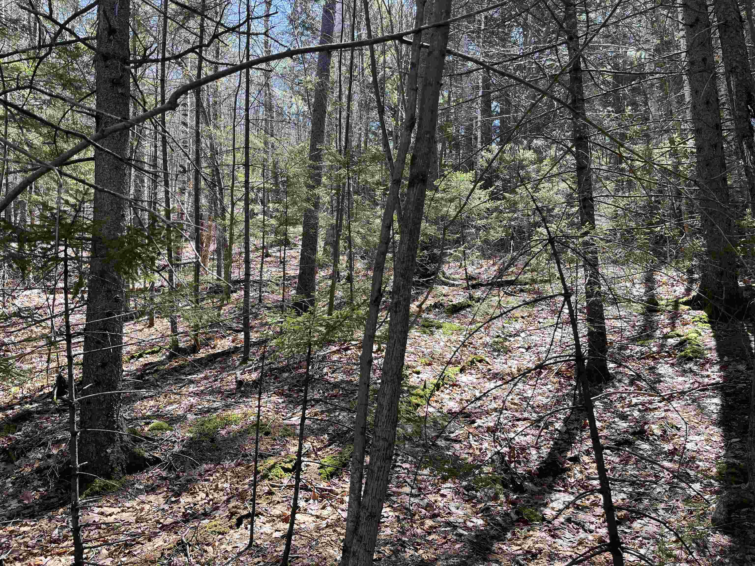 5 Boulder Court Campton, NH 03223 - Photo 2 of 12
