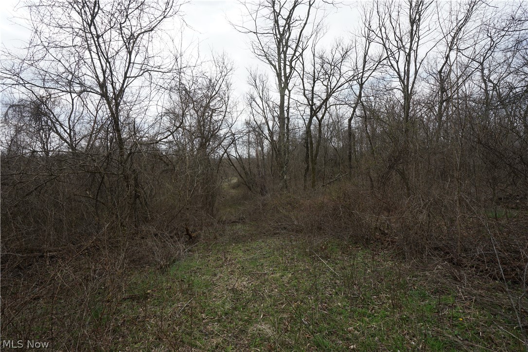56835 Stephens Road Jacobsburg, OH 43933 - Photo 45 of 50