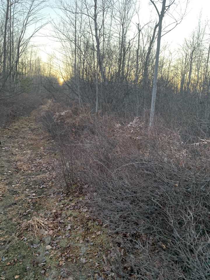 4860 North Carter Road Pinconning, MI 48650 - Photo 2 of 3