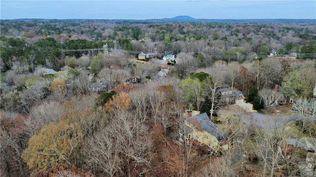 a view of a yard with plants and large trees