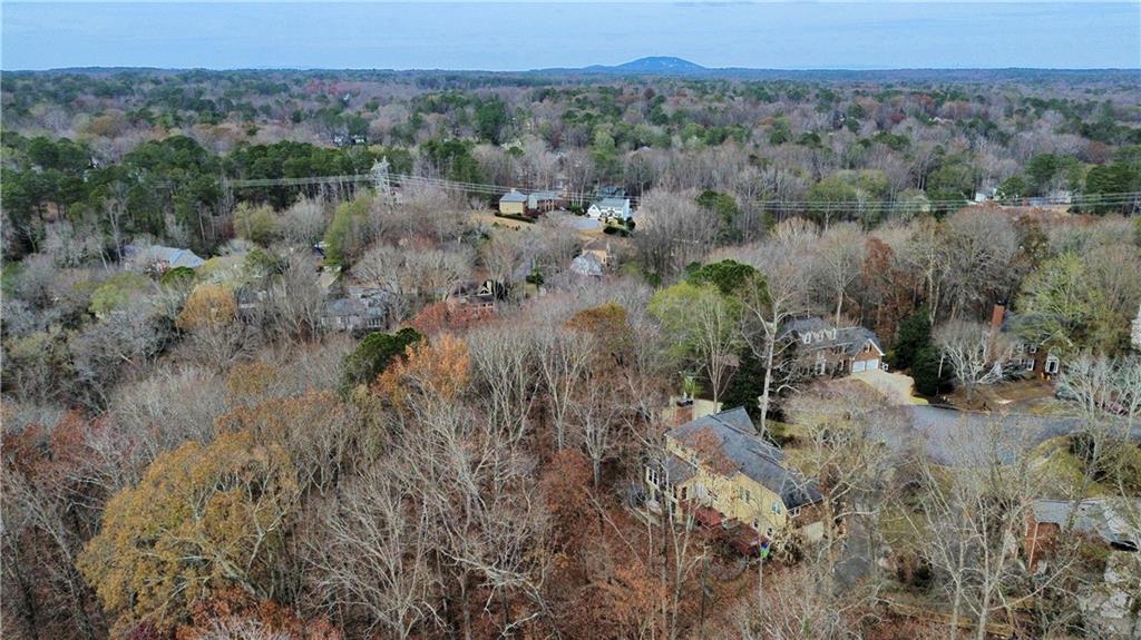 1610 Old Mill Crossing Northeast Marietta, GA 30062 - Photo 44 of 55 a view of a forest with a street