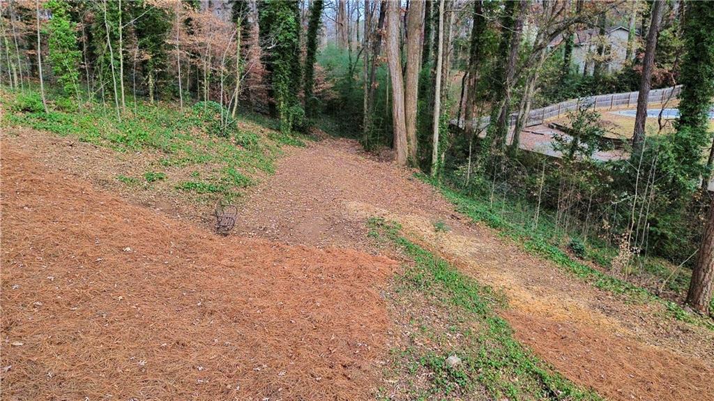 1610 Old Mill Crossing Northeast Marietta, GA 30062 - Photo 47 of 55 a view of a yard with plants and large trees