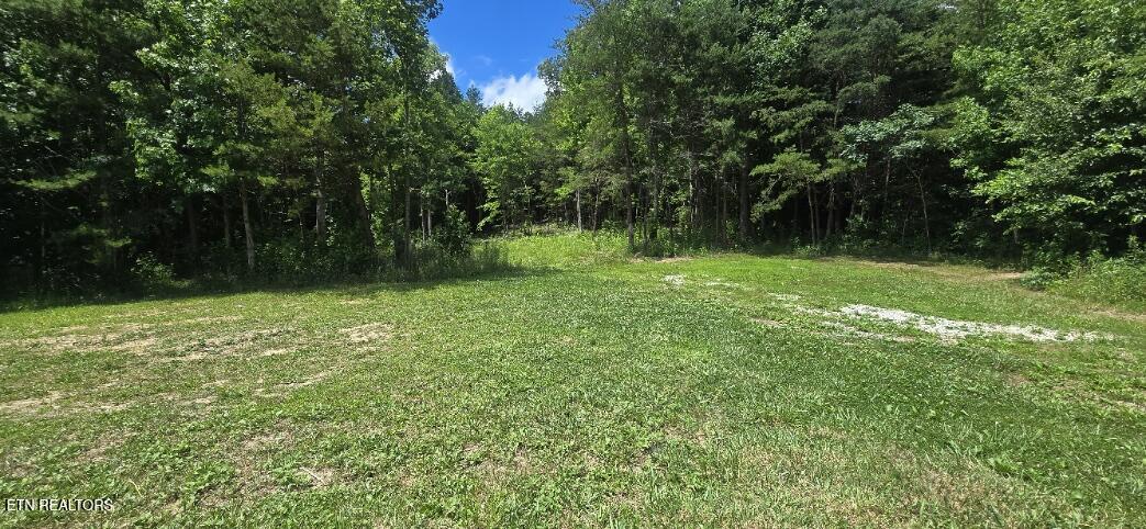 925 Anderson Hollow Road Huntsville, TN 37756 - Photo 3 of 9 20260615_145938