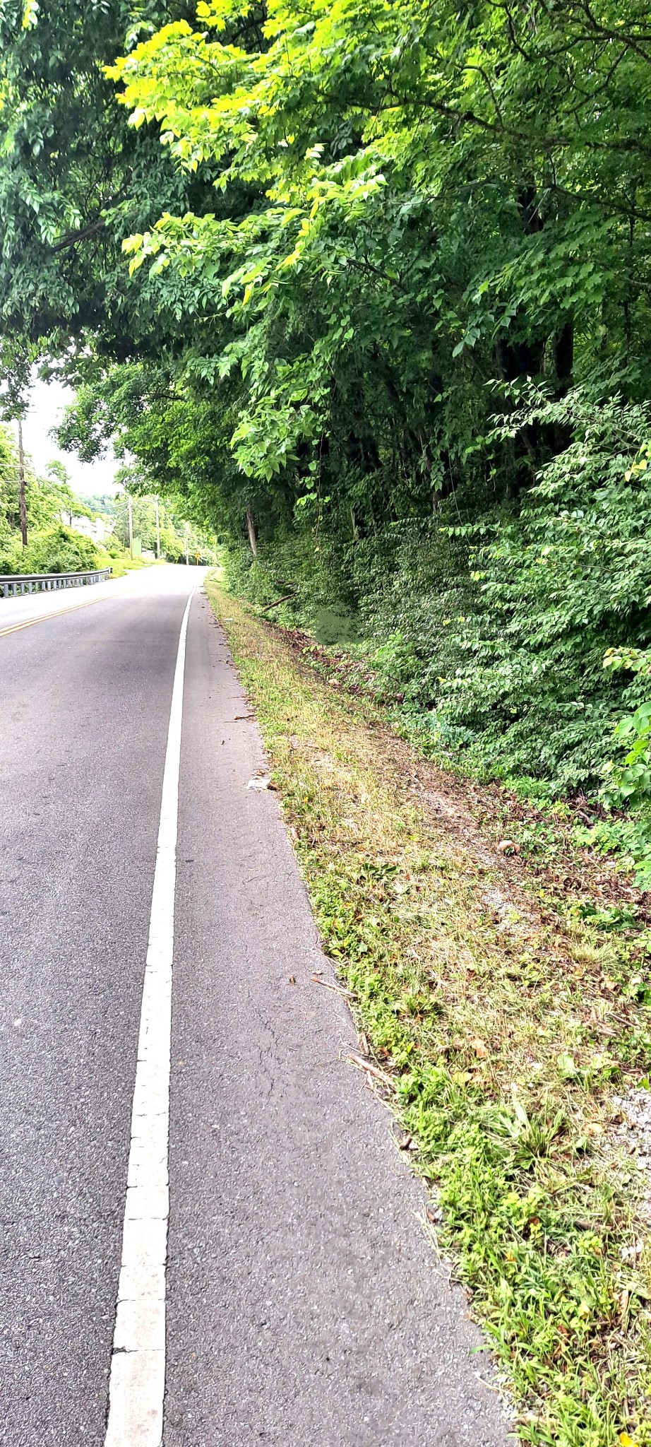 0 Sawyer Brown Road Nashville, TN 37221 - Photo 4 of 6 a view of a pathway both side of yard