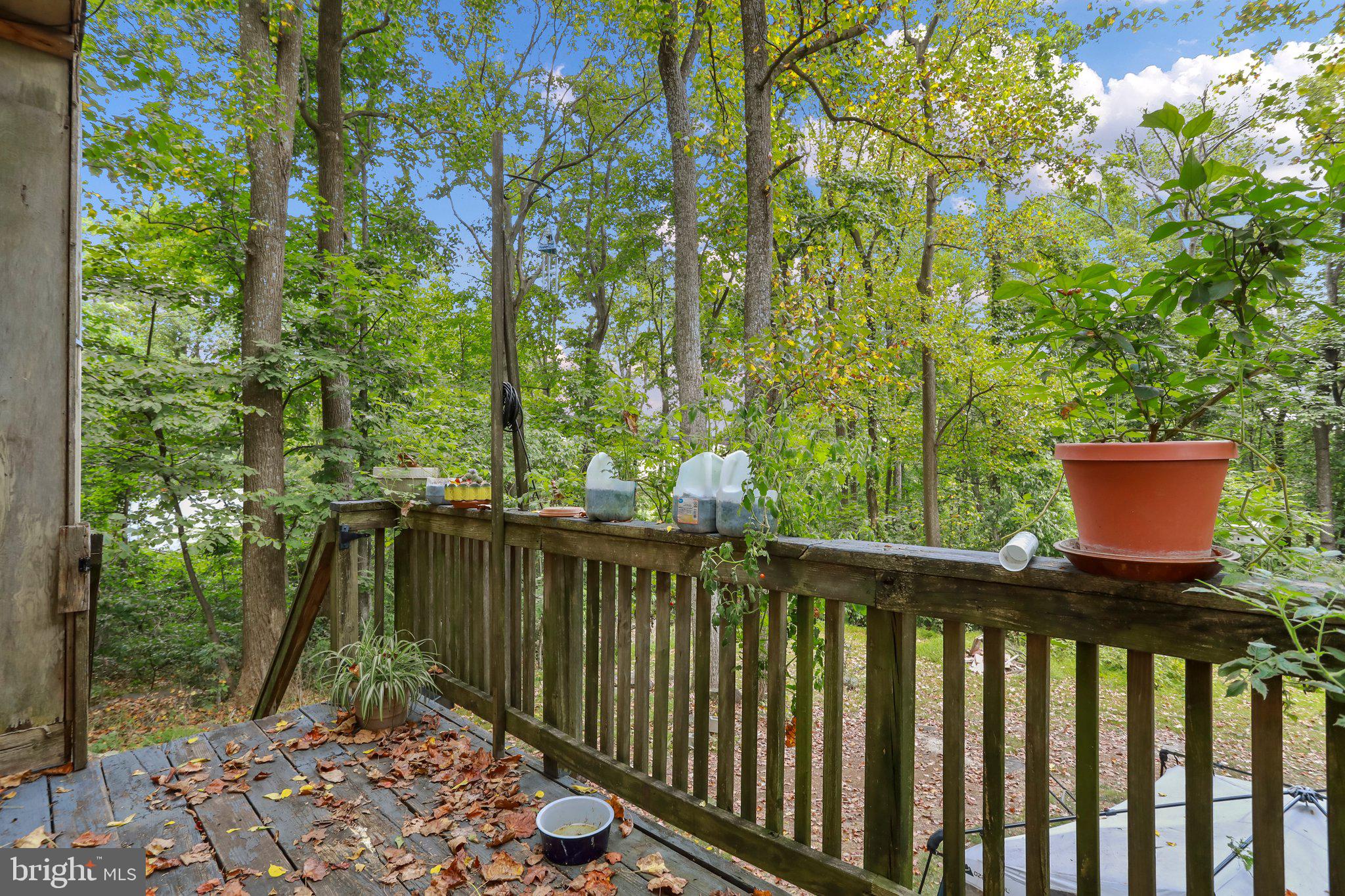 2596 High Top Road Linden, VA 22642 - Photo 27 of 27 deck