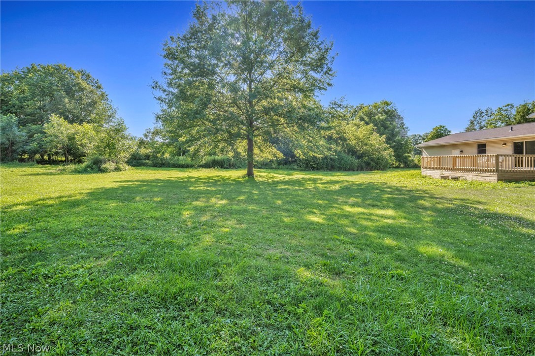 2642 Blake Road Wadsworth, OH 44281 - Photo 42 of 50 Expansive manicured lawn with mature shade trees and open grounds, complemented by a single-story residential structure with covered porch and wood siding situated on the property
