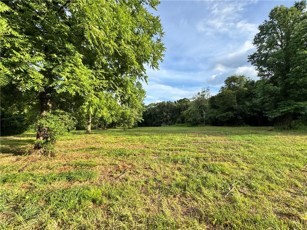 a view of a yard with an trees