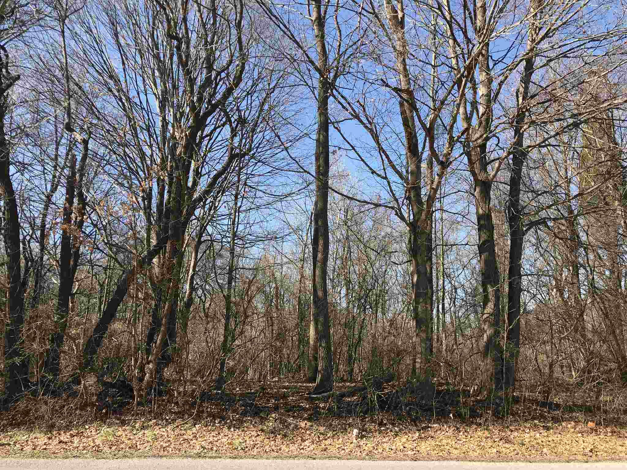 Parcel #3 South Bethany Church Road Boonville, IN 47601 - Photo 1 of 1 Gallery Image 1