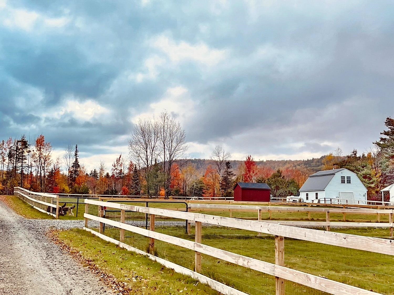 553 Birches Road Sugar Hill, NH 03586 - Photo 51 of 58