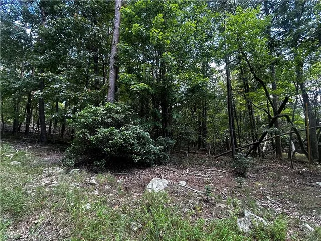 a view of backyard with green space