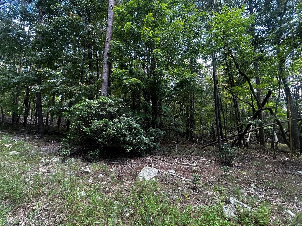 0 Elk Court Jasper, GA 30143 - Photo 2 of 8 a view of backyard with green space
