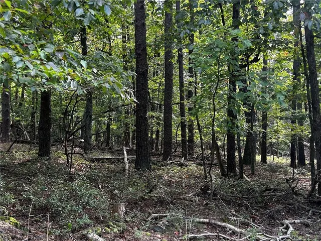 a view of outdoor space and trees