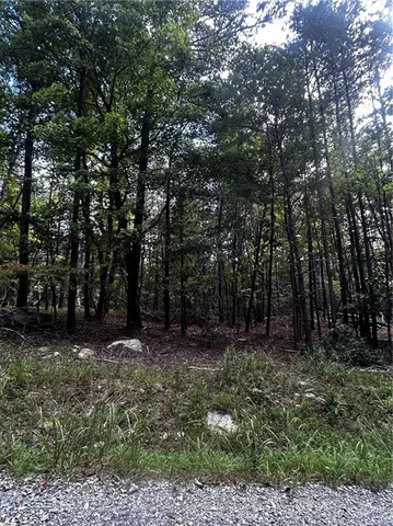 a view of outdoor space and green space