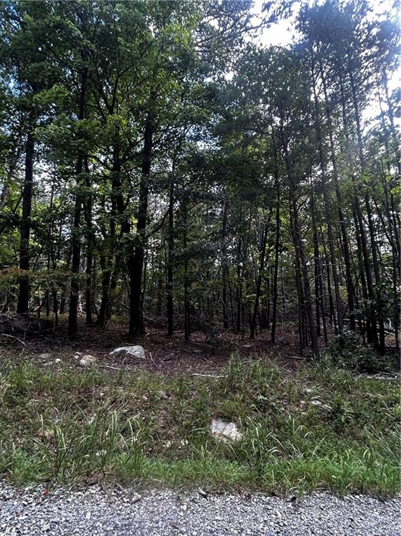0 Elk Court Jasper, GA 30143 - Photo 4 of 8 a view of outdoor space and green space