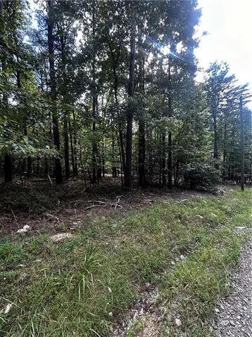 a view of outdoor space and yard