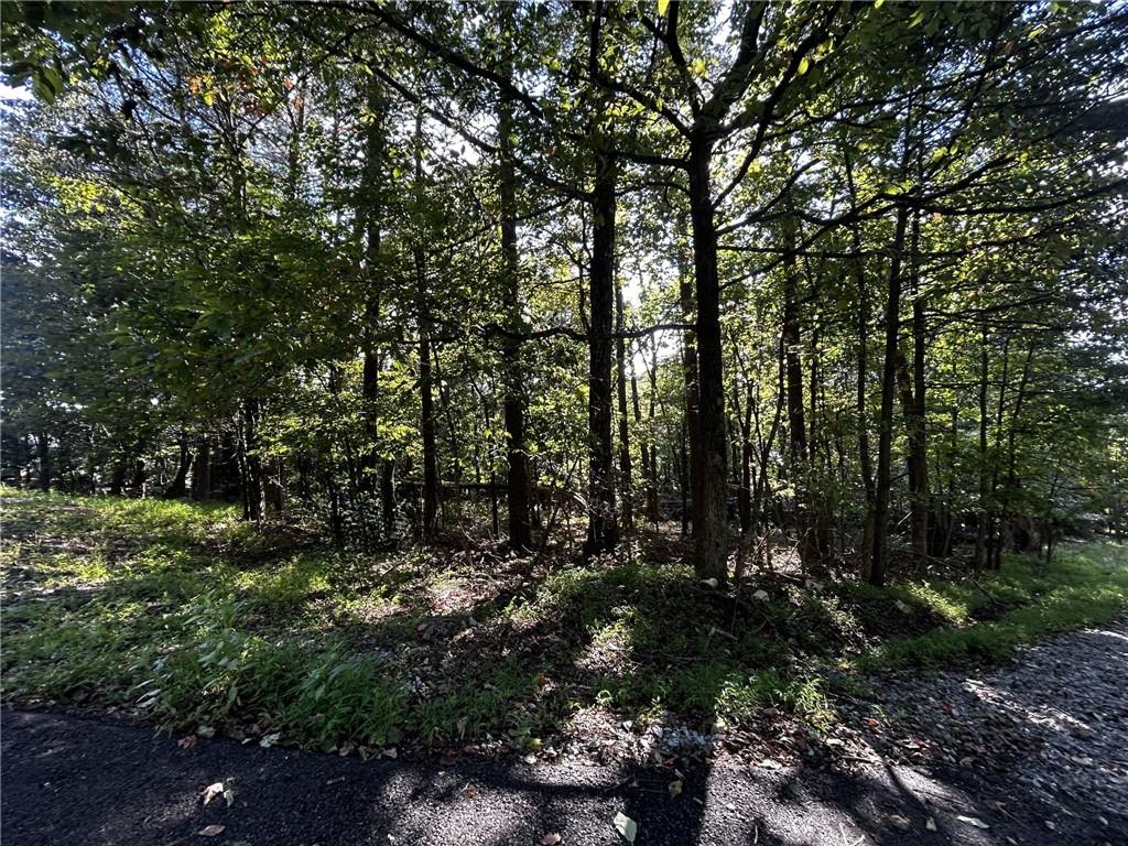 0 Elk Court Jasper, GA 30143 - Photo 6 of 8 a view of outdoor space and trees