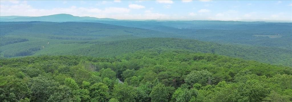 0 Elk Court Jasper, GA 30143 - Photo 7 of 8 a view of an mountain