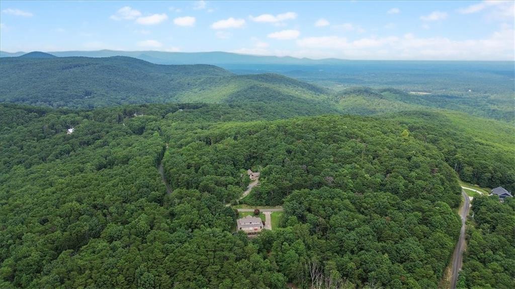 0 Elk Court Jasper, GA 30143 - Photo 8 of 8 a view of a green field with lots of bushes