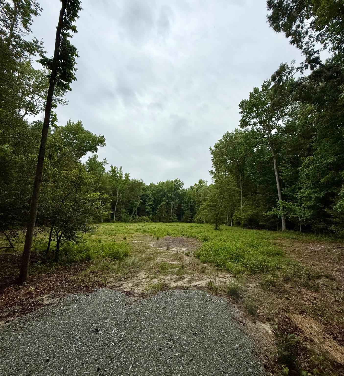 0 Utica Road, Unit PARCEL 3 Greenwood, DE 19950 - Photo 5 of 8 Serene clearing on lot 3 in lush woodlands.