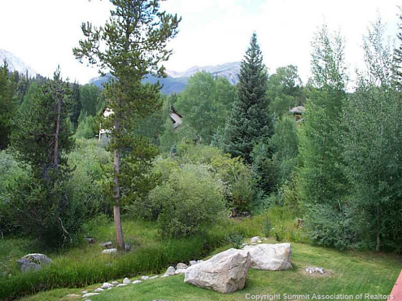 613 Willowbrook Road Silverthorne, CO 80498 - Photo 18 of 22 View.