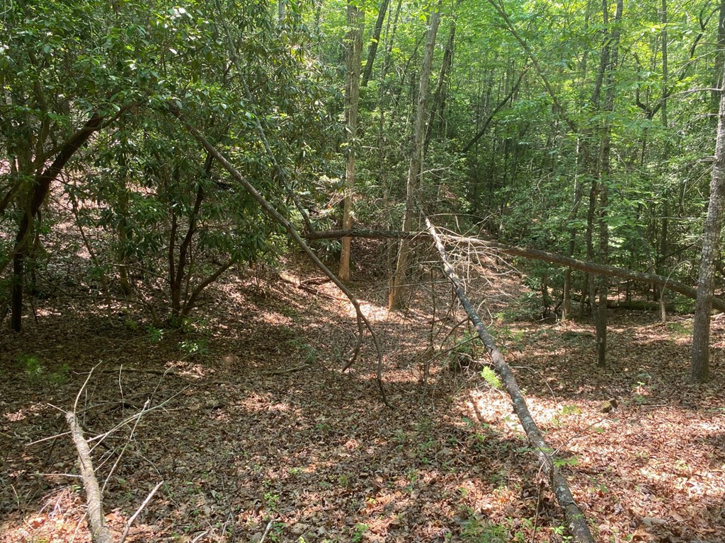Lot 34 Point Overlook Trail Murphy, NC 28906 - Photo 6 of 17