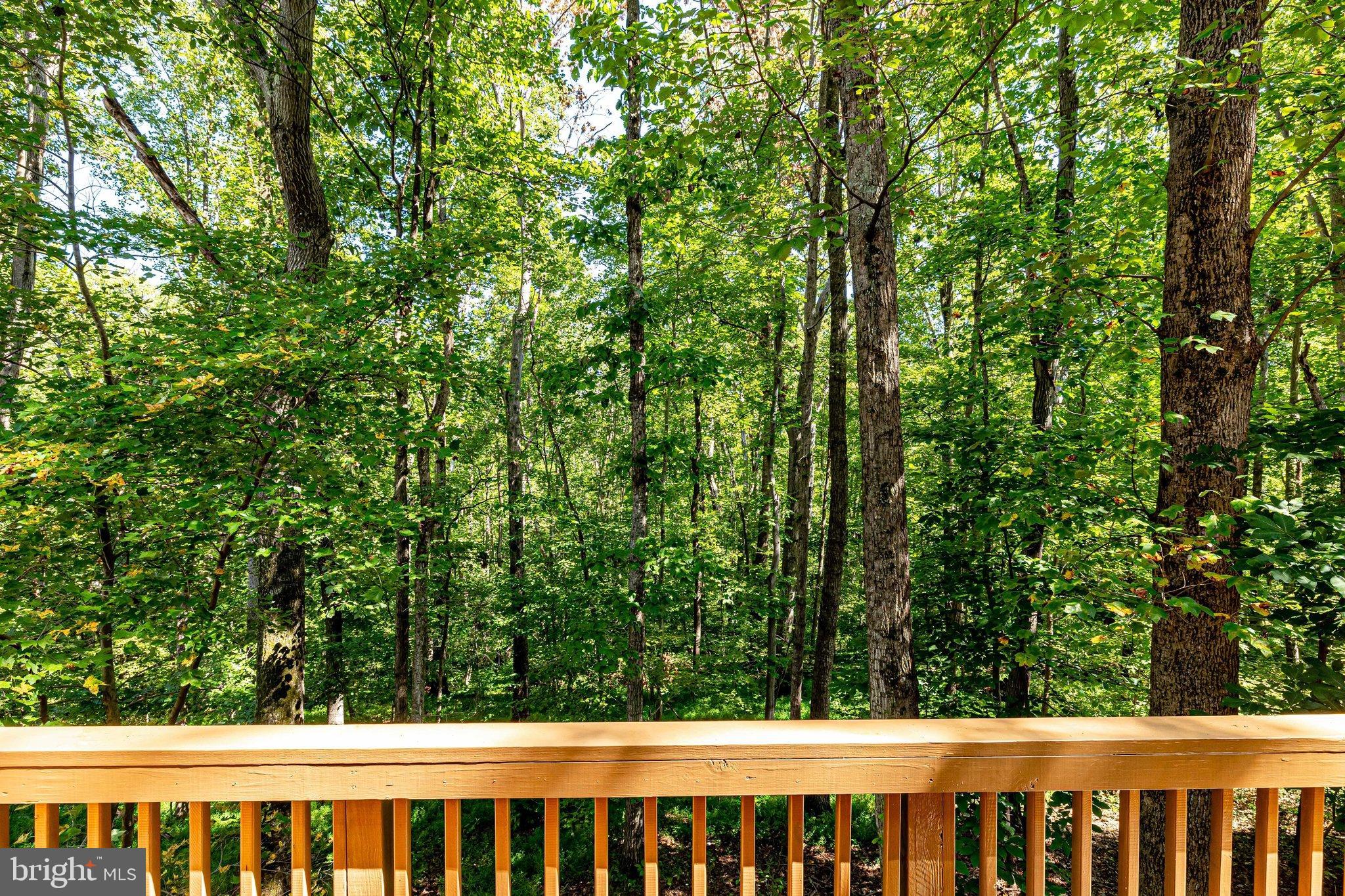 10706 Cross School Road Reston, VA 20191 - Photo 48 of 68 Beautiful all year round