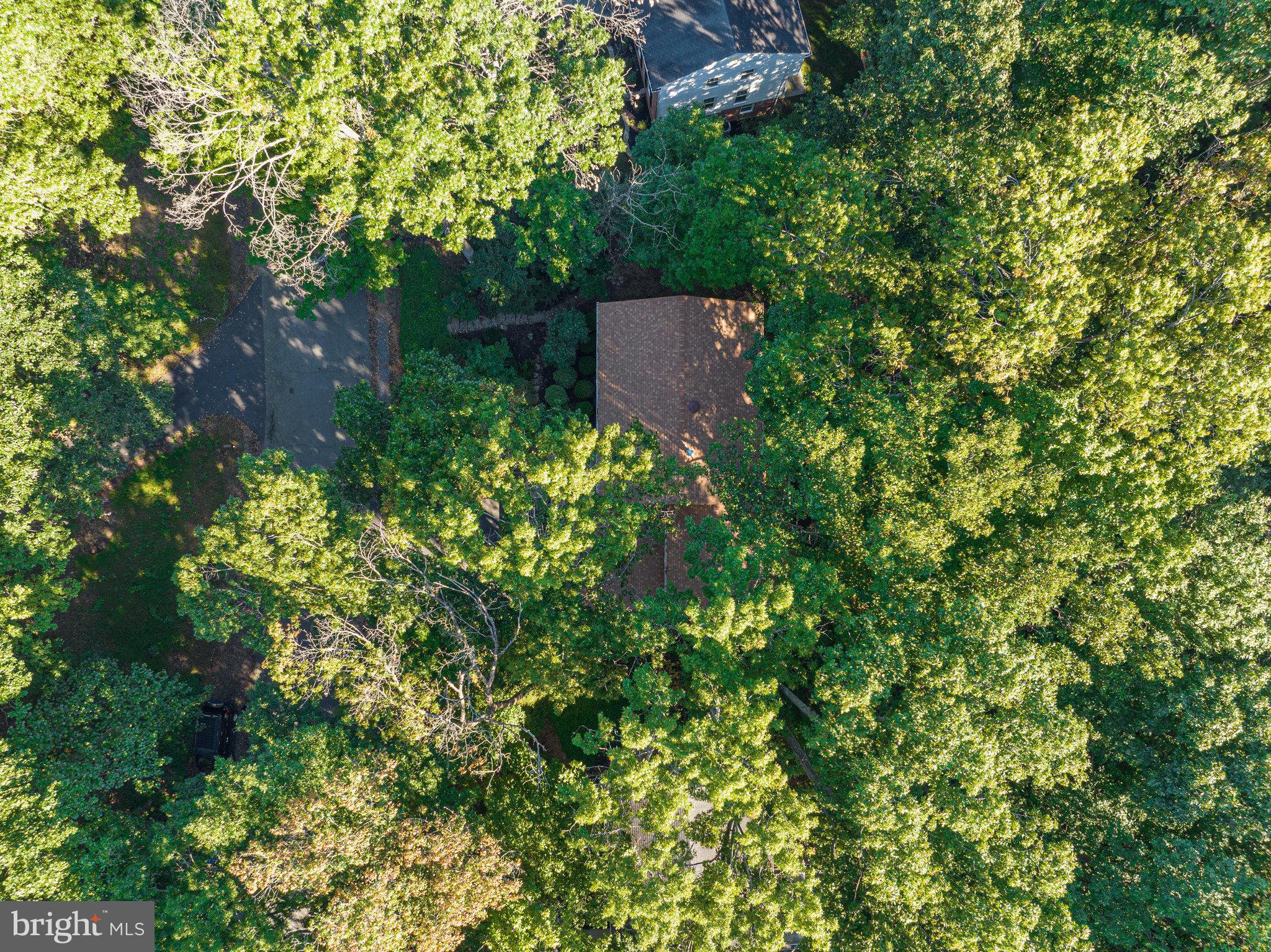 10706 Cross School Road Reston, VA 20191 - Photo 54 of 68 Gallery Image 54