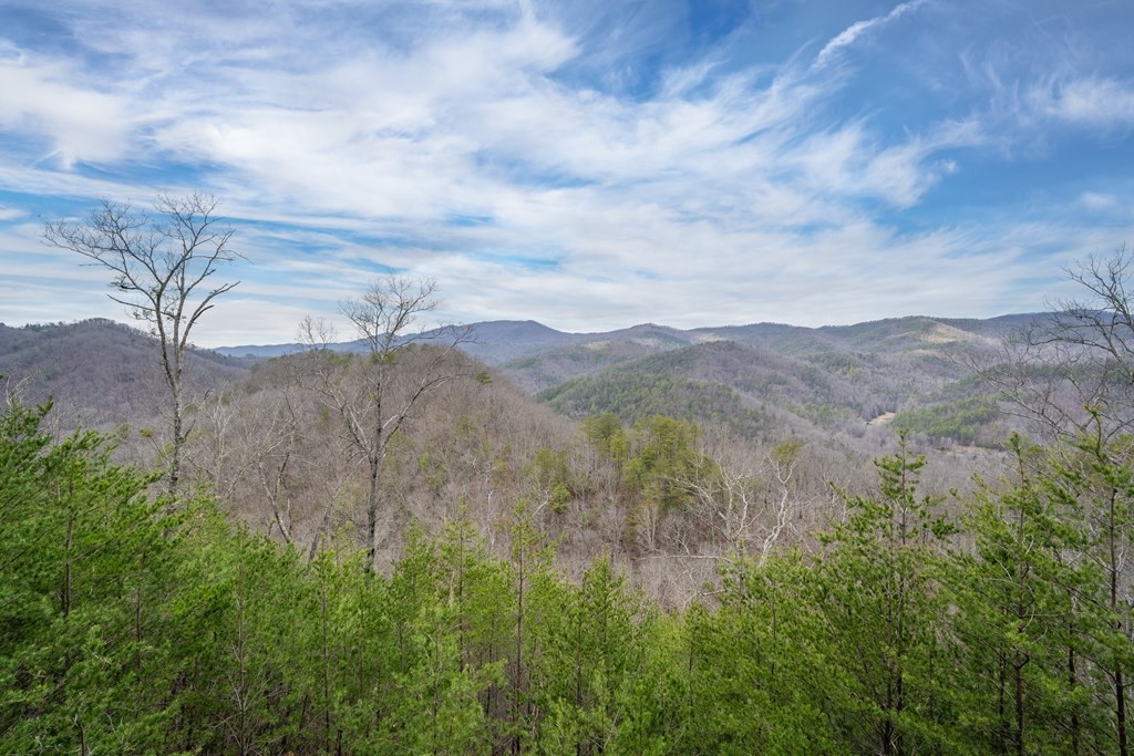 3532 Carsons Ridge Way Sevierville, TN 37862 - Photo 42 of 45 Gallery Image 42