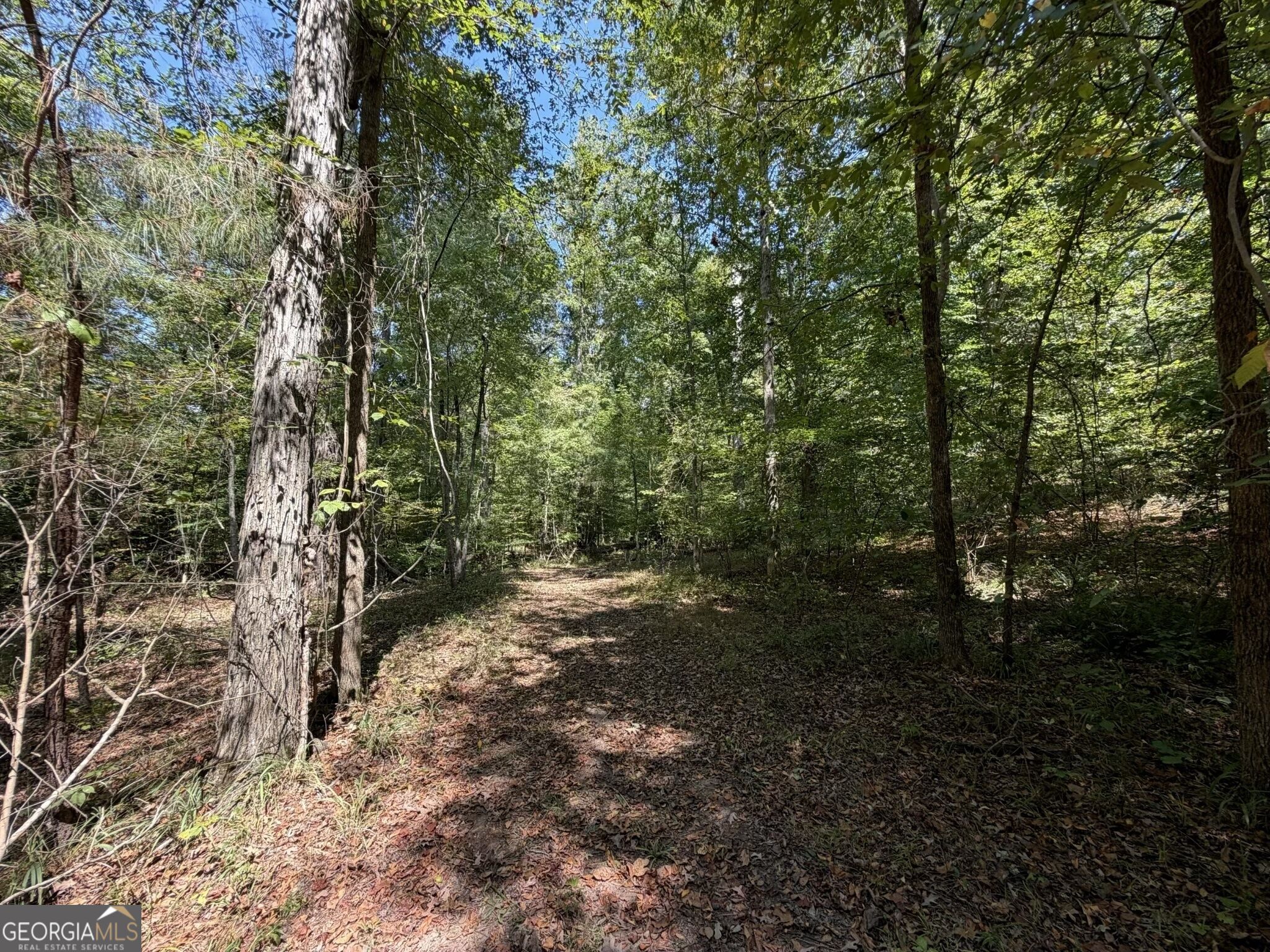 11 Bunch Road Tignall, GA 30668 - Photo 51 of 81 Gallery Image 51