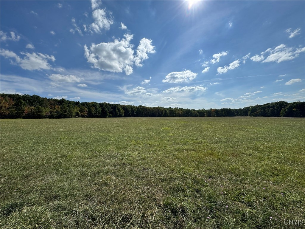 Lot 9 Sisson Road Penn Yan, NY 14527 - Photo 2 of 9 Lot 9 5 Acres