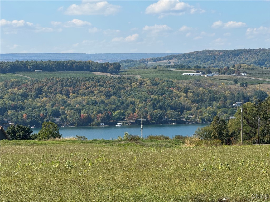 Lot 9 Sisson Road Penn Yan, NY 14527 - Photo 4 of 9 Lot 9 Lake View