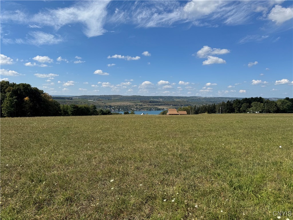 Lot 9 Sisson Road Penn Yan, NY 14527 - Photo 5 of 9 Lot 9 Lake View
