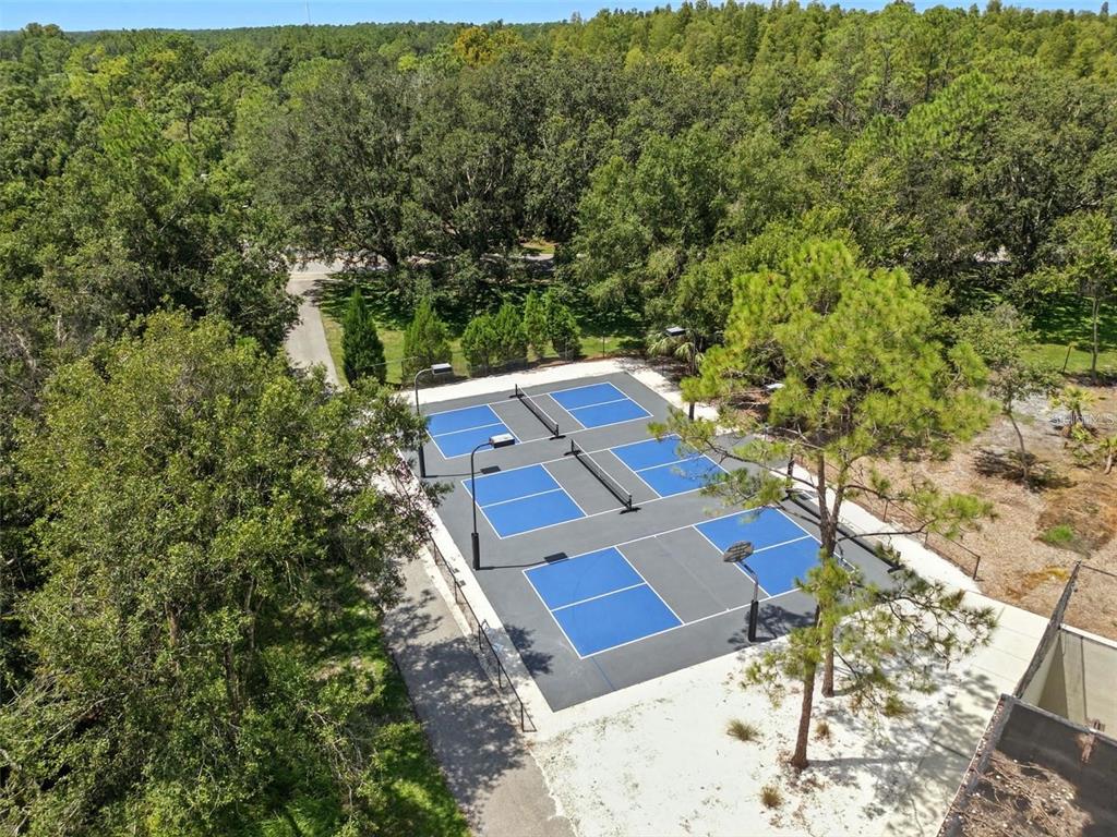 17702 Long Ridge Road Tampa, FL 33647 - Photo 48 of 48 Gallery Image 48