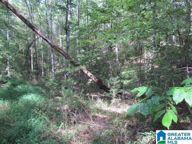 79 Highway 79, Unit 33 Cleveland, AL 35049 - Photo 31 of 32