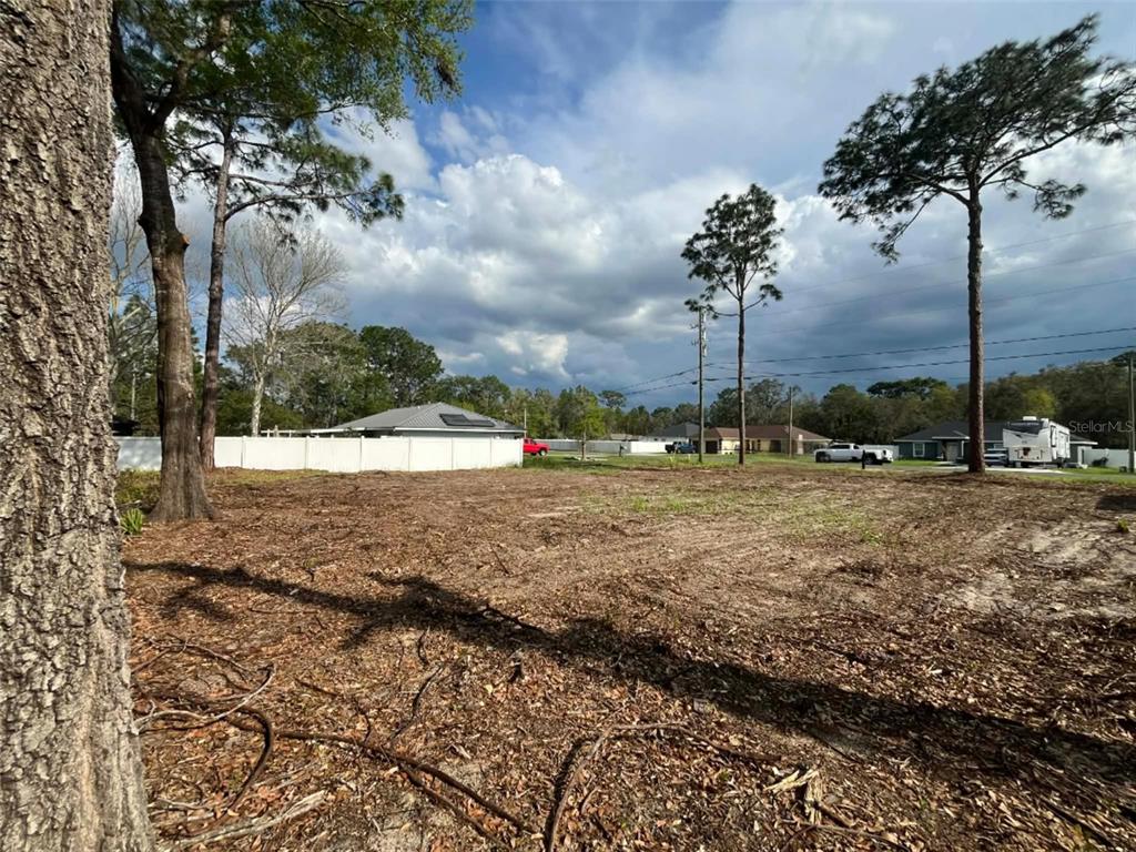 202 Locust Road Ocala, FL 34472 - Photo 1 of 9 a view of a yard with plants and trees