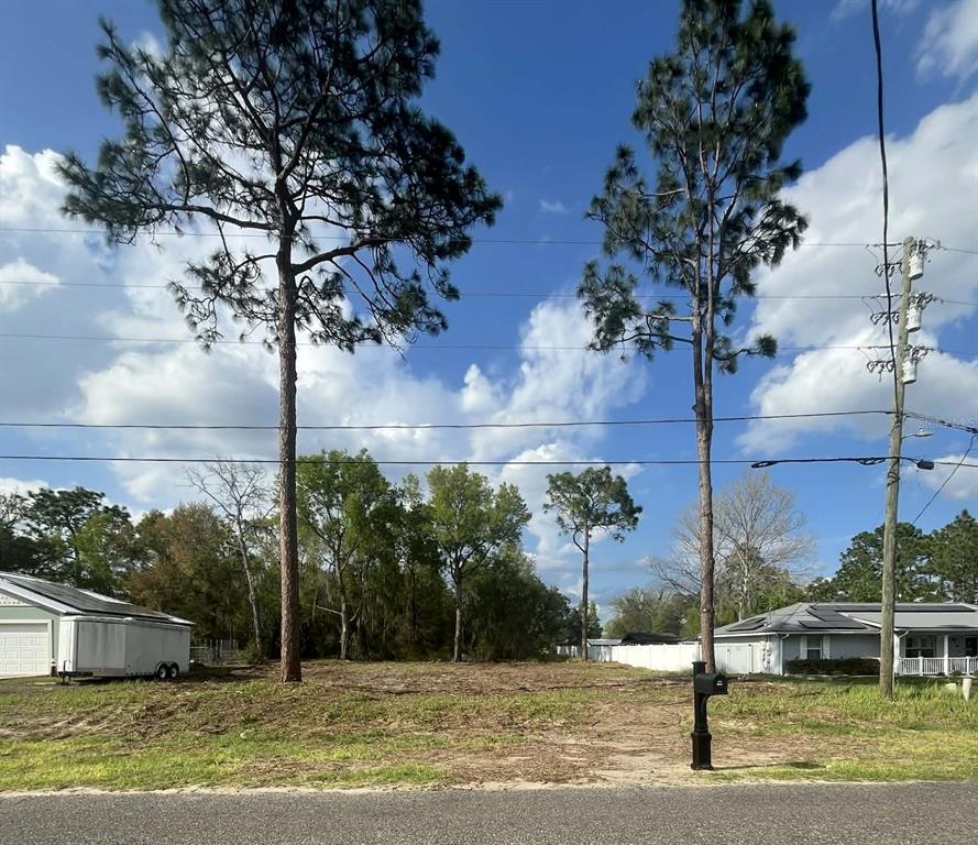 202 Locust Road Ocala, FL 34472 - Photo 4 of 9 a view of a yard