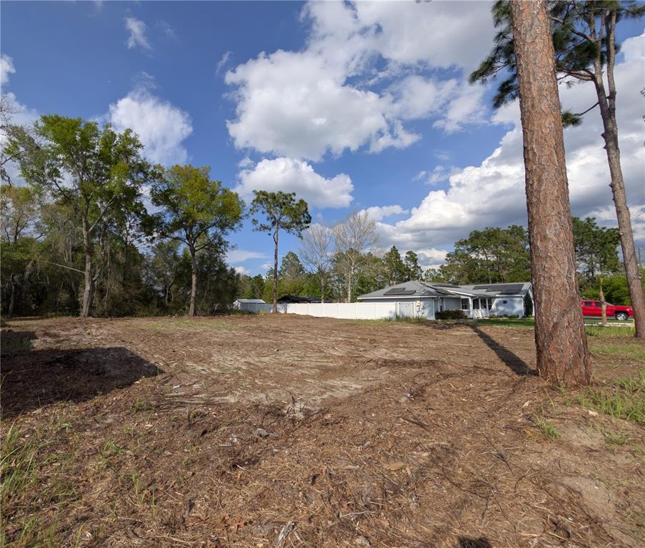 202 Locust Road Ocala, FL 34472 - Photo 5 of 9 a view of a backyard