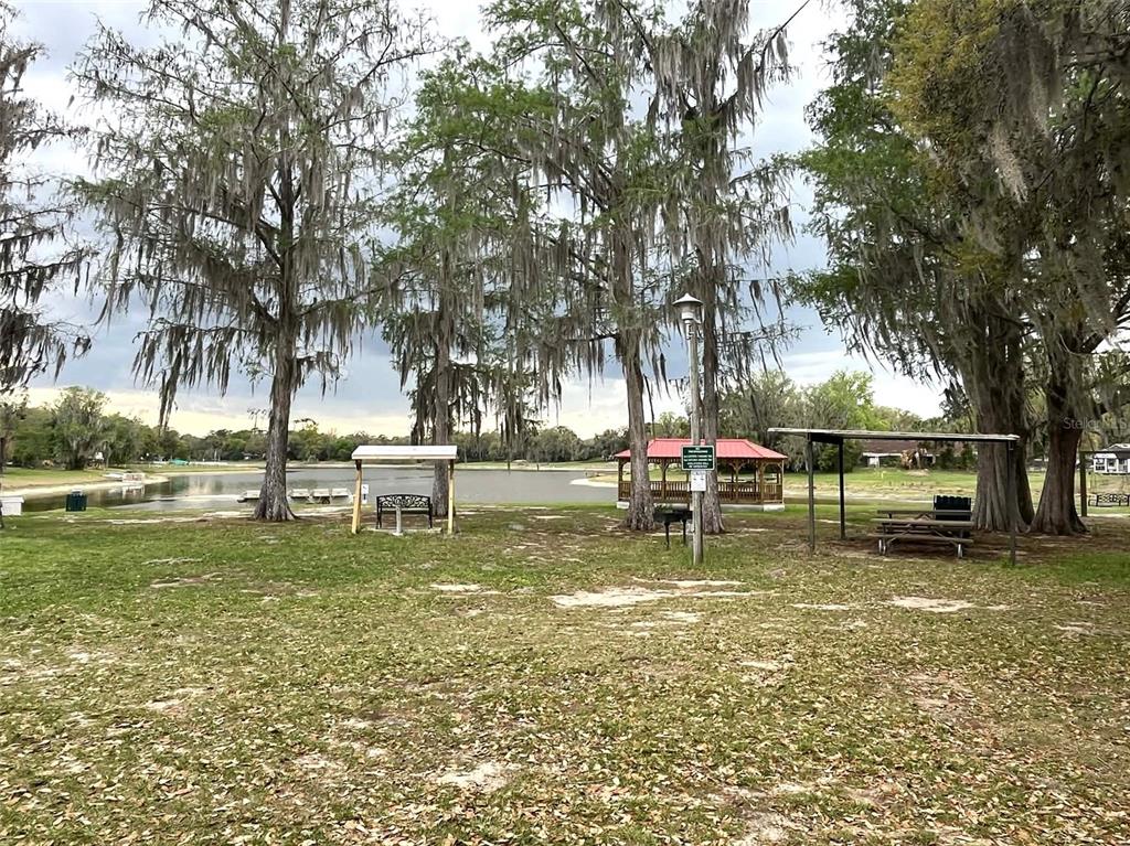 202 Locust Road Ocala, FL 34472 - Photo 7 of 9 a view of a park with large trees