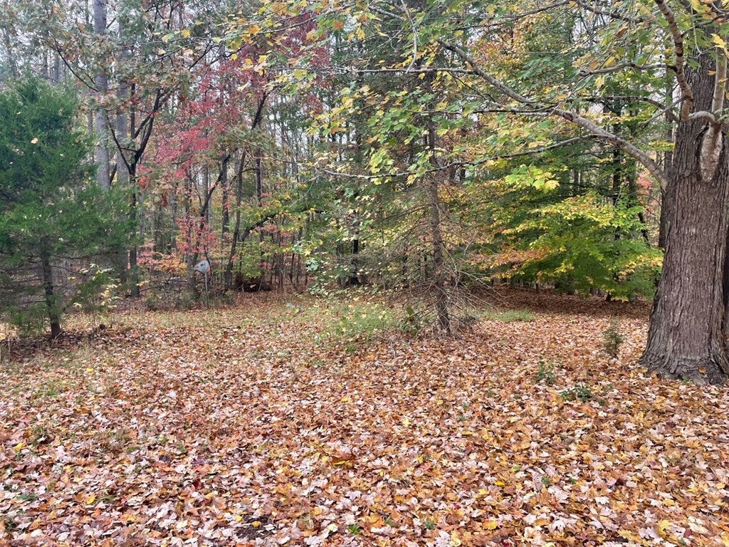 13128 Philpott Road Alton, VA 24520 - Photo 24 of 26 Gallery Image 24