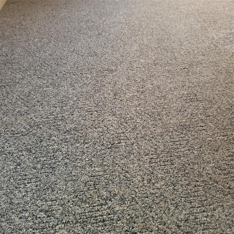 548 Highway 69 Point, TX 75472 - Photo 22 of 22 a bathroom with a shower