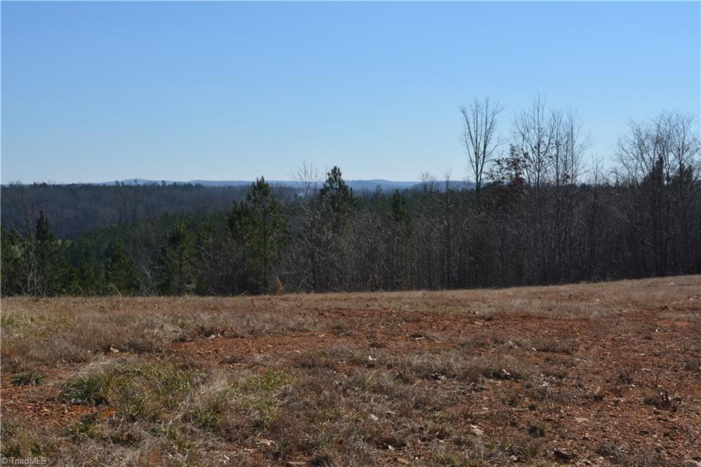 0 Ridges Mountain Road Asheboro, NC 27205 - Photo 3 of 10 Gallery Image 3