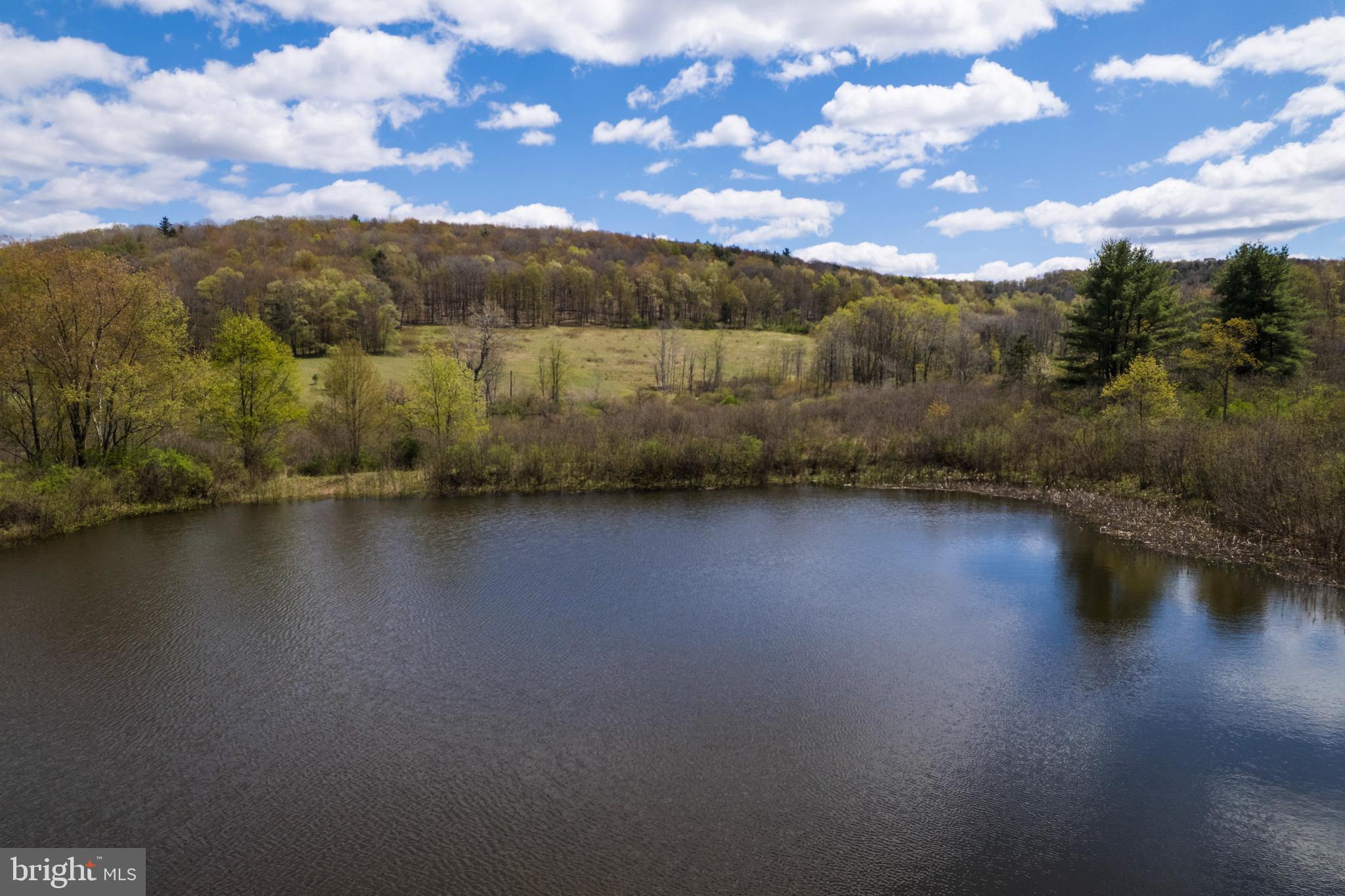 0 Holbrook Road Montrose, PA 18801 - Photo 1 of 147