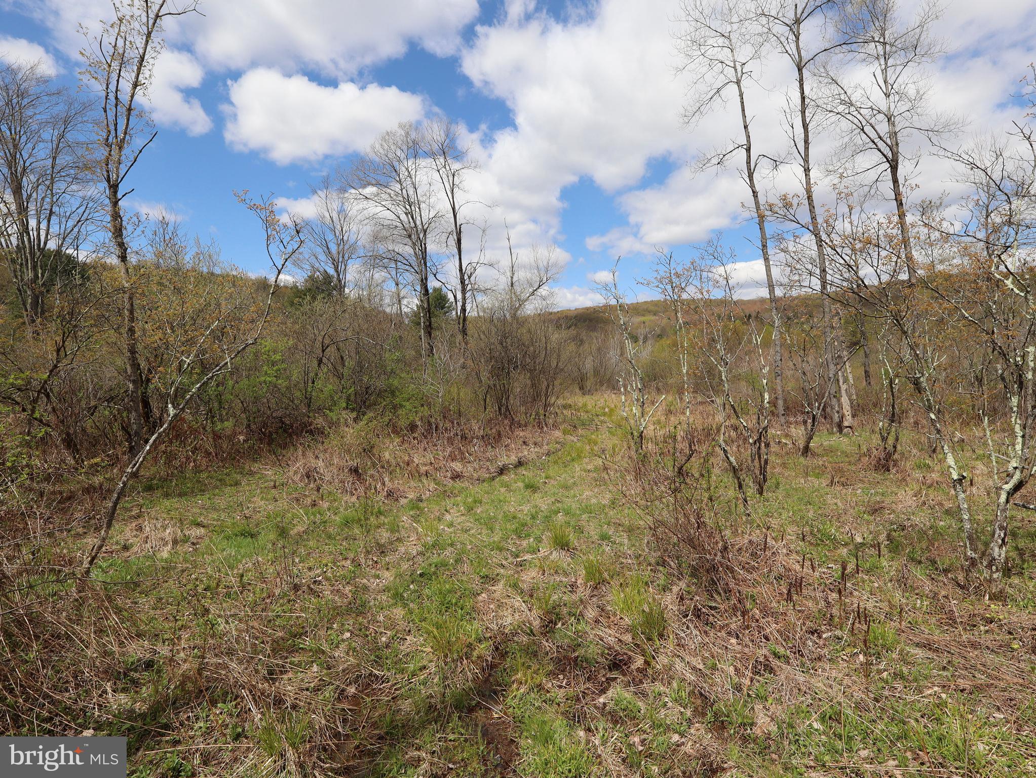 0 Holbrook Road Montrose, PA 18801 - Photo 101 of 147