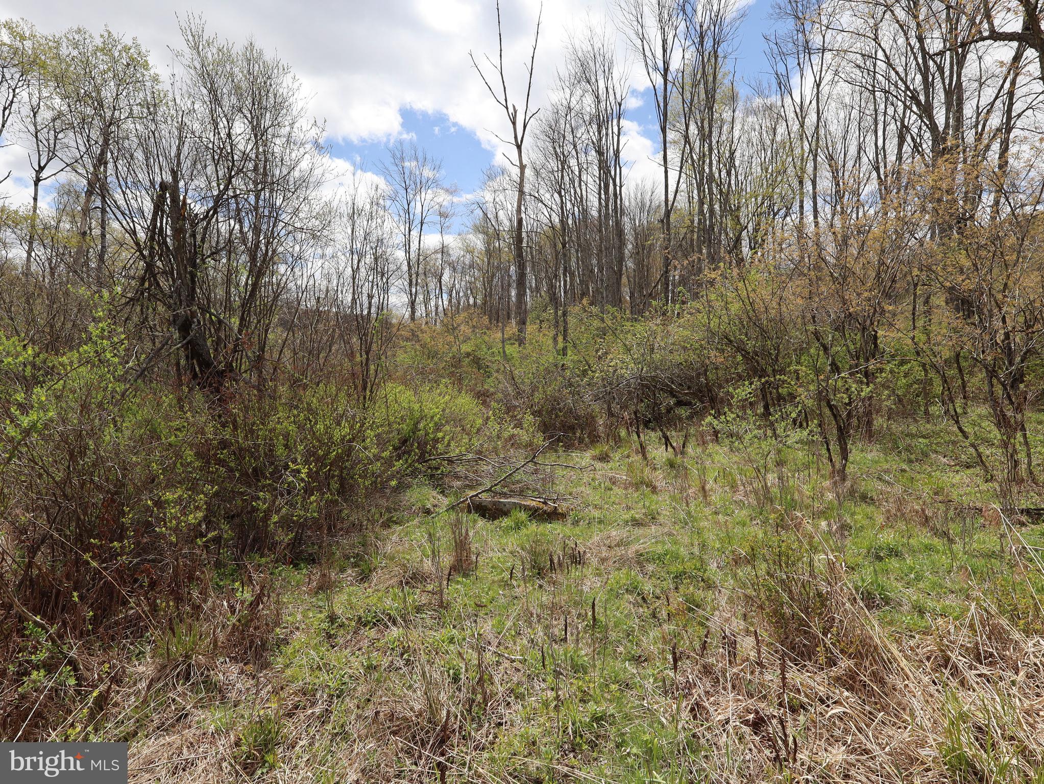 0 Holbrook Road Montrose, PA 18801 - Photo 104 of 147