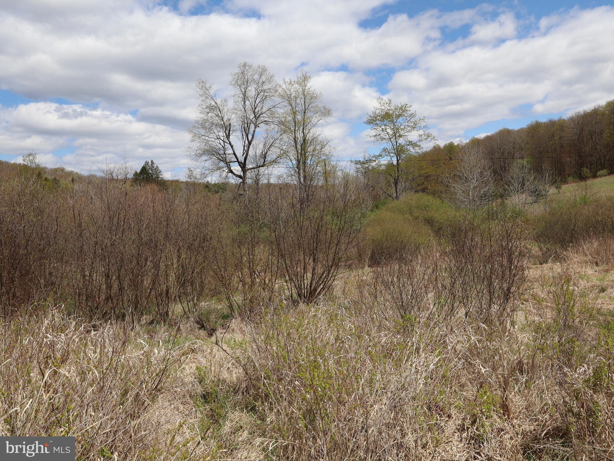 0 Holbrook Road Montrose, PA 18801 - Photo 108 of 147