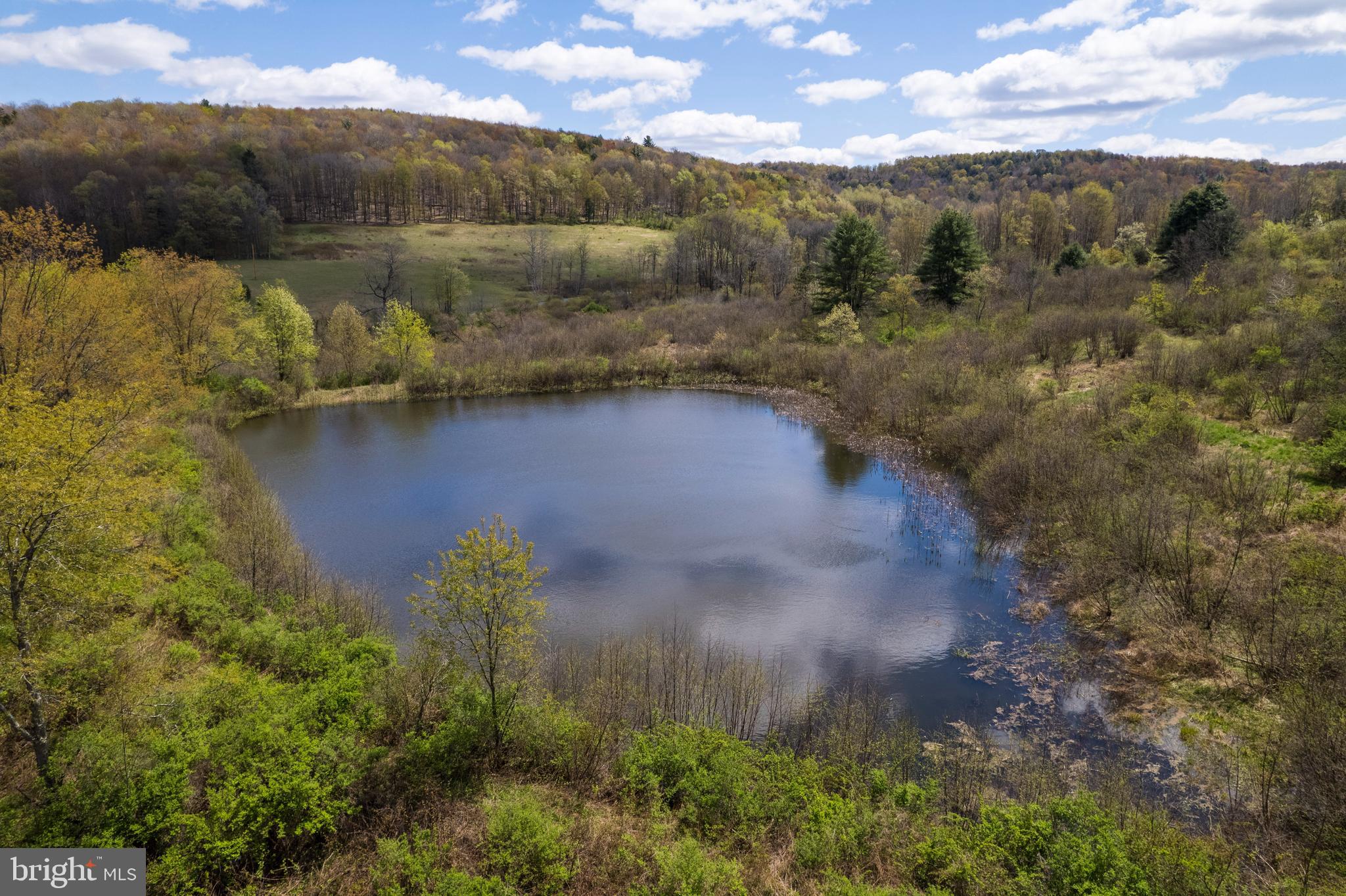 0 Holbrook Road Montrose, PA 18801 - Photo 11 of 147 a view of a lake with a mountain in the background