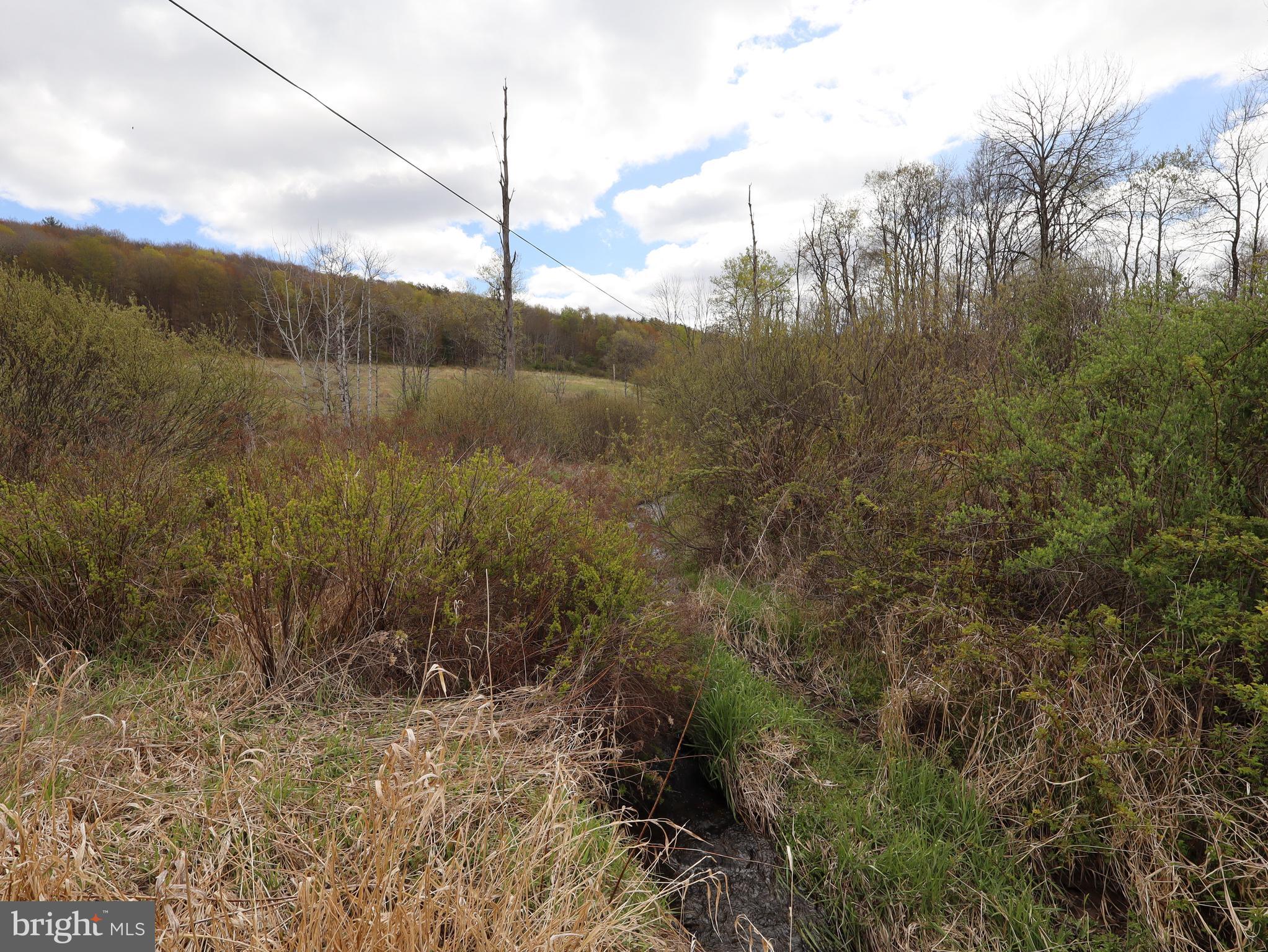 0 Holbrook Road Montrose, PA 18801 - Photo 120 of 147