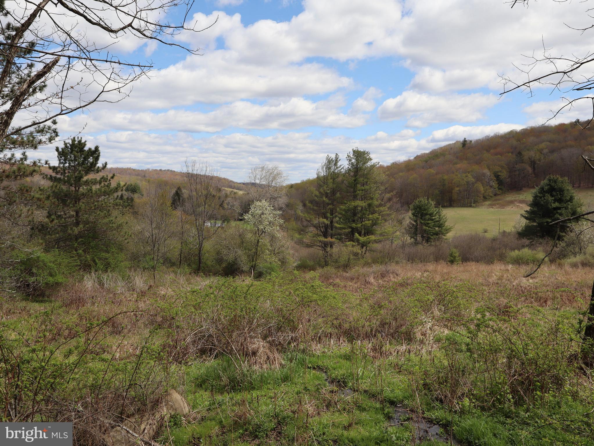 0 Holbrook Road Montrose, PA 18801 - Photo 122 of 147