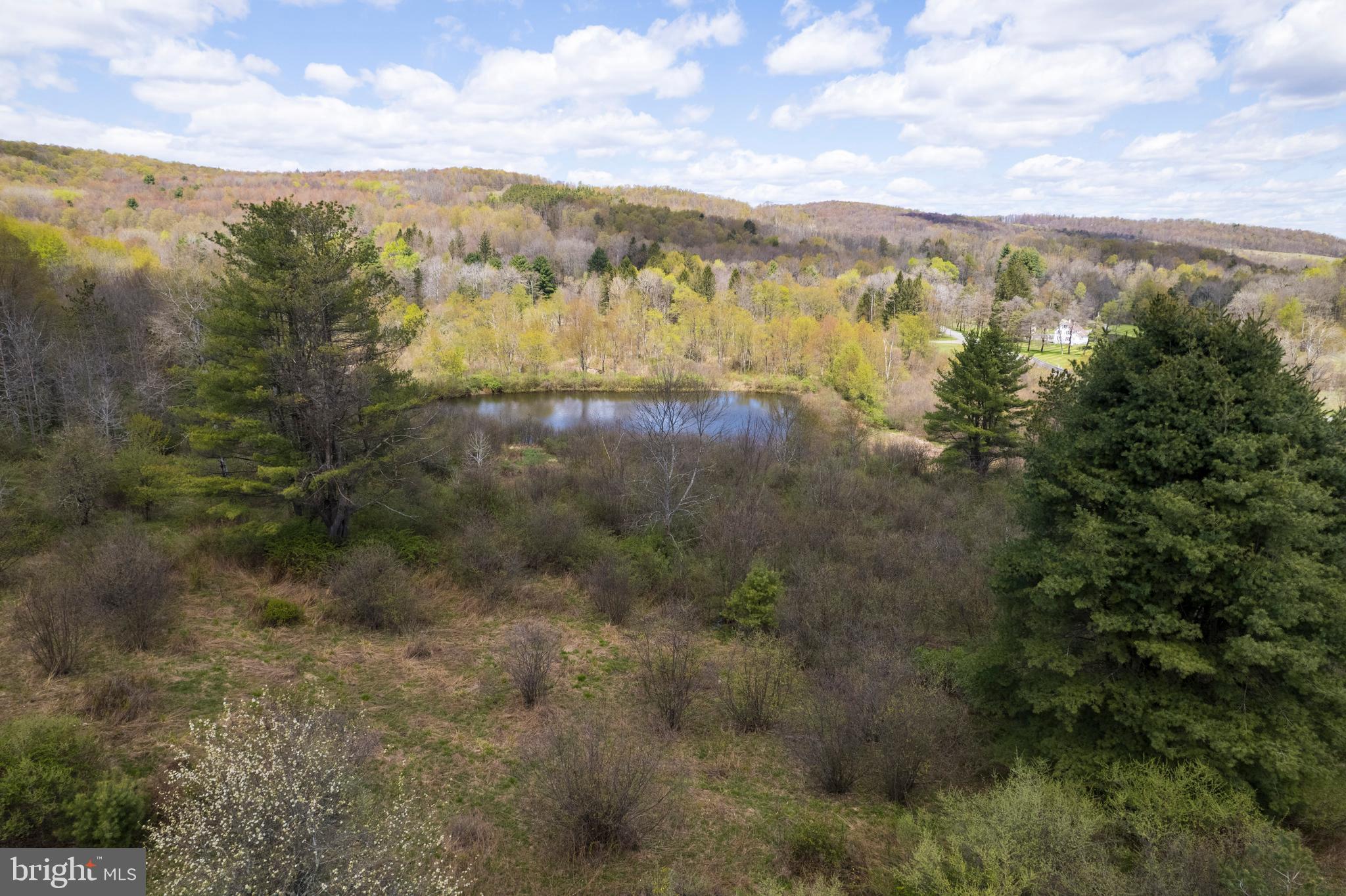 0 Holbrook Road Montrose, PA 18801 - Photo 124 of 147
