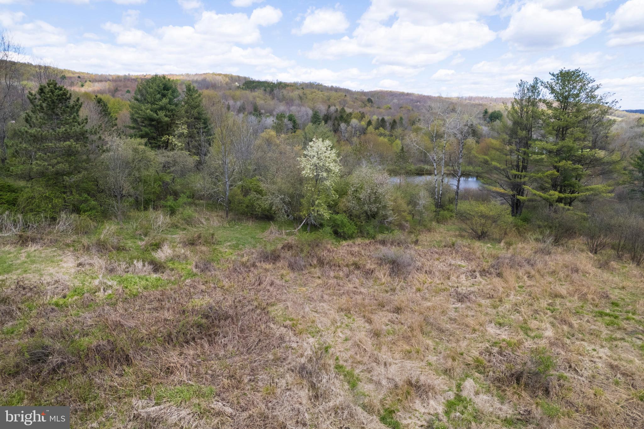 0 Holbrook Road Montrose, PA 18801 - Photo 128 of 147 a view of a forest with trees in the background
